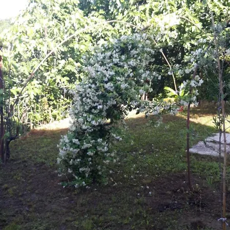 Casa Aromi E Arte Menta Lime شقة Sessant